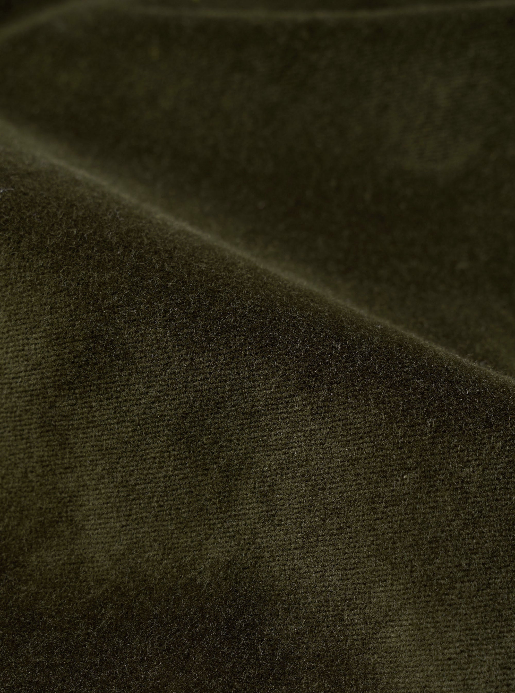 Olive CPH Velvet Oxford Pant