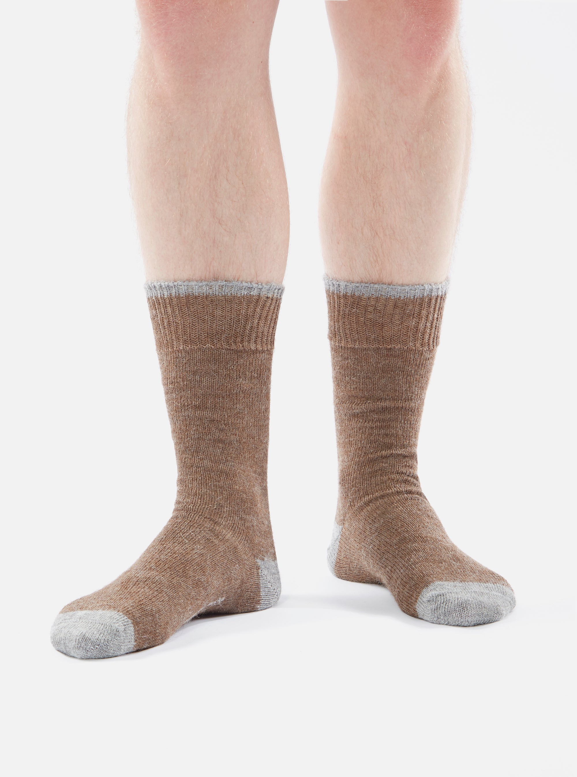 A person stands on a white background wearing Brown Alpaca Wool Socks. The socks are brown with gray toes and cuffs.