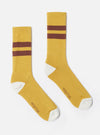 Studio shot of Yellow/Raisin Cotton Rib Sport Sock. Ribbed yellow socks with raisin stripes and white toe and heel on a white background.